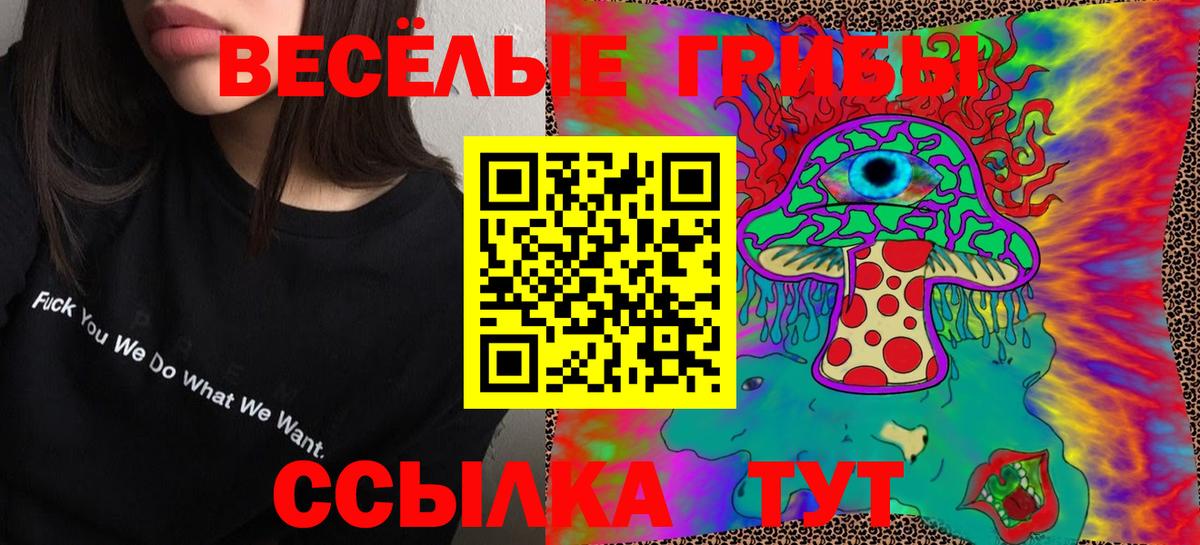 Галлюциногенные грибы ЛСД  Вход с VPN  Избербаш 